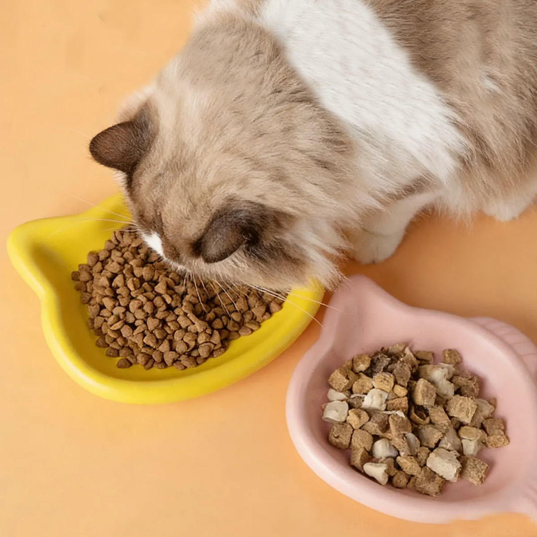 Cute Cat Shape Pet Snack Plate - Food Snacks Options avaliação e preço