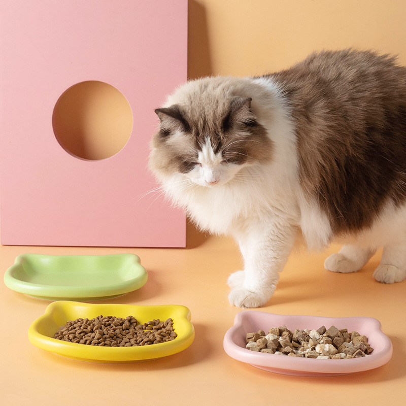 Cute Cat Shape Pet Snack Plate - Food Snacks Options avaliação e preço