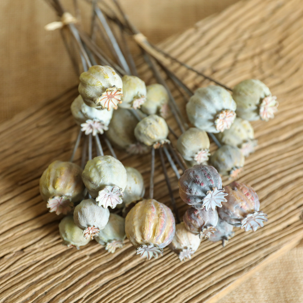 6Heads Poppies Fruit Dried Flo - Dried Fruit Mix avaliação e preço