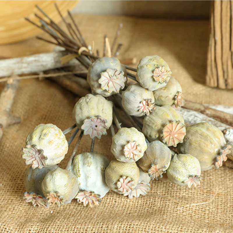 6Heads Poppies Fruit Dried Flo - Dried Fruit Mix avaliação e preço