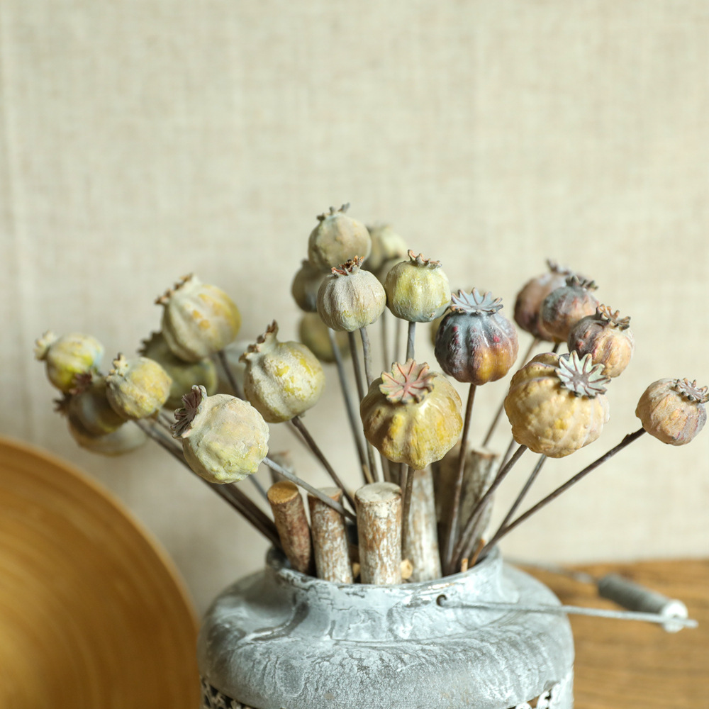 6Heads Poppies Fruit Dried Flo - Dried Fruit Mix avaliação e preço