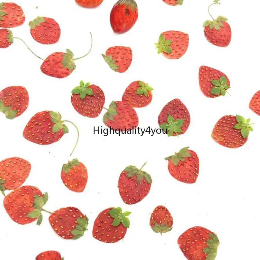 10pcs Dried Pressed Mini Fruit - Dried Fruit Mix avaliação e preço