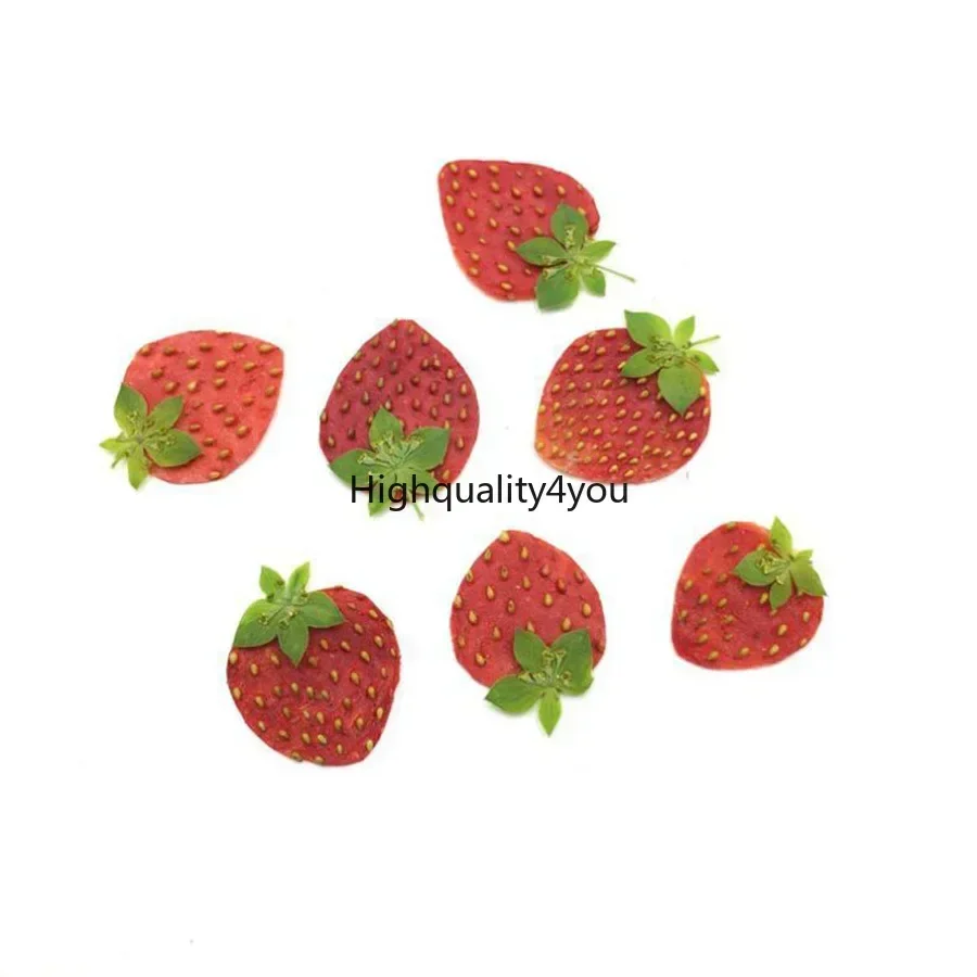 10pcs Dried Pressed Mini Fruit - Dried Fruit Mix avaliação e preço